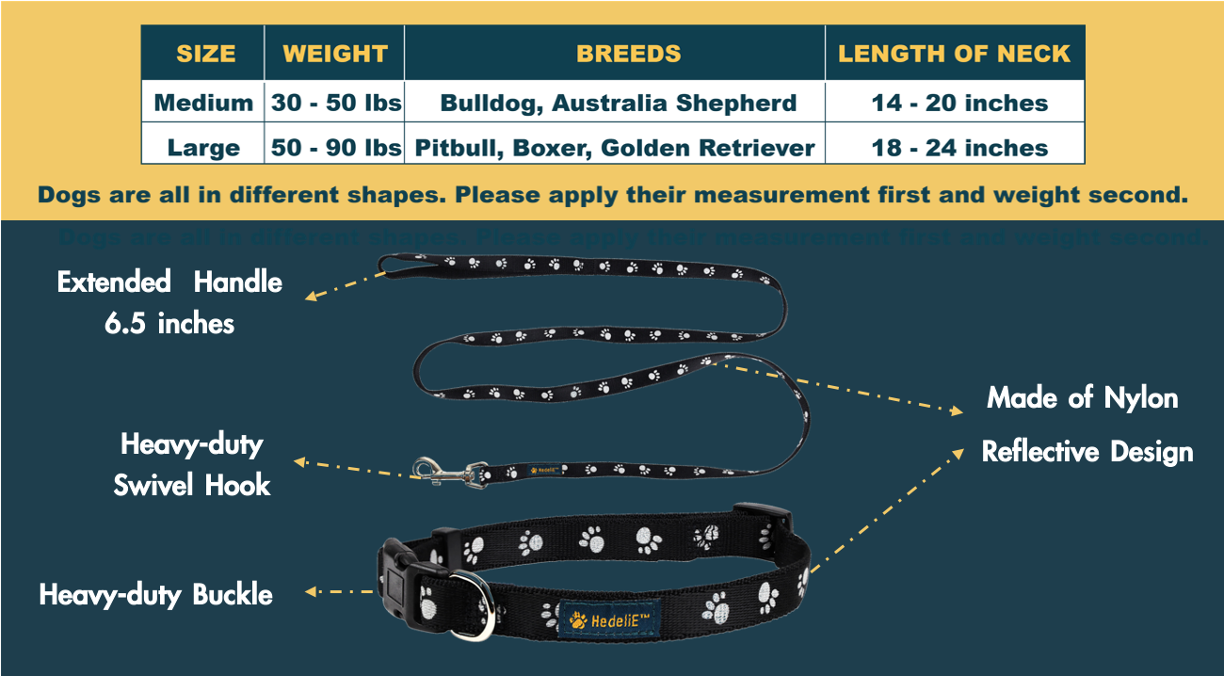 Reflective Nylon Dog Collar and Leash Set HedeliE