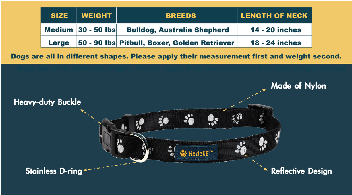 Reflective Nylon Dog Collar HedeliE